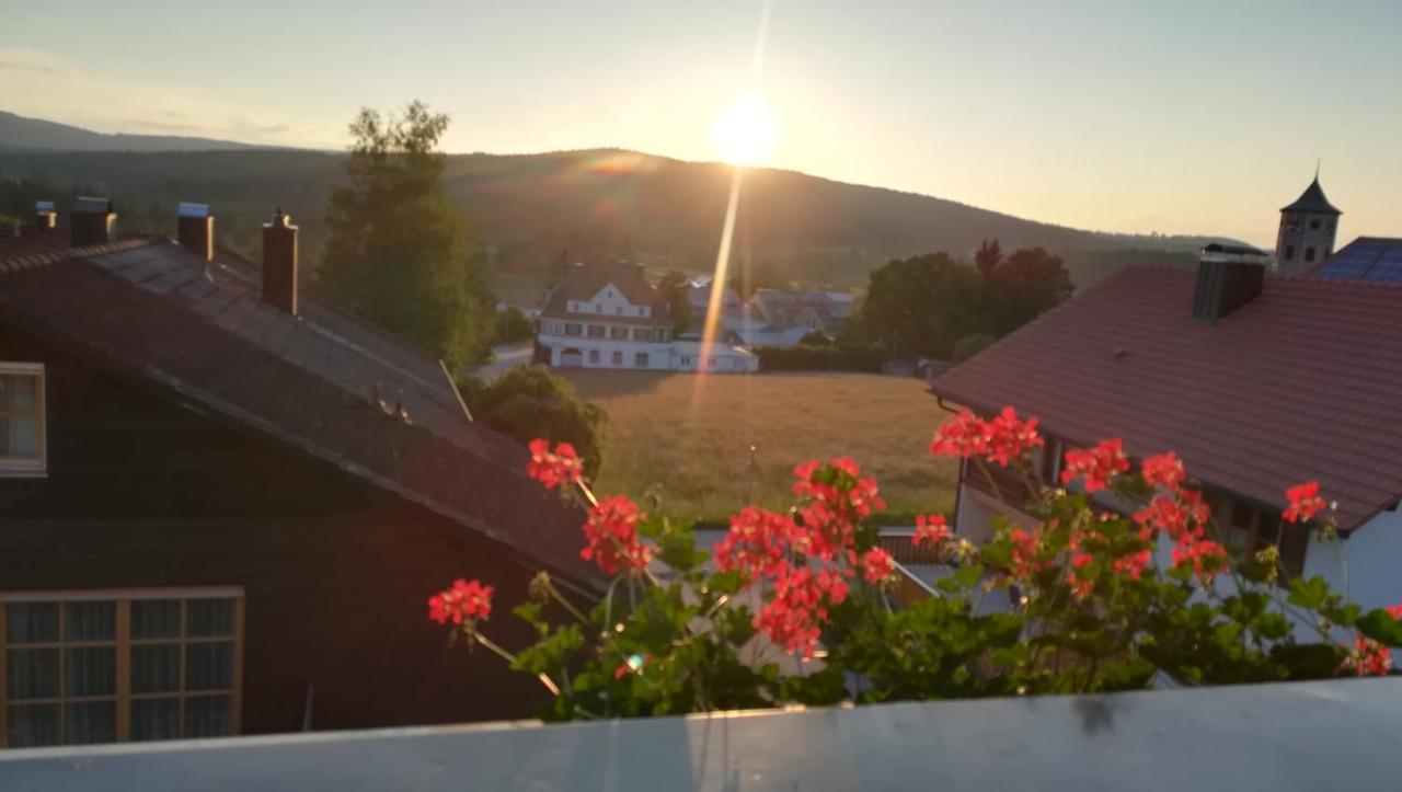 Haus Haidweg - Ferienwohnungen In Haidmuehle Im Dreilaendereck De-Cz-At Zewnętrze zdjęcie